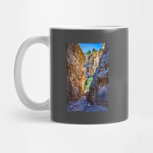 Lick Wash Trail Hike Mug